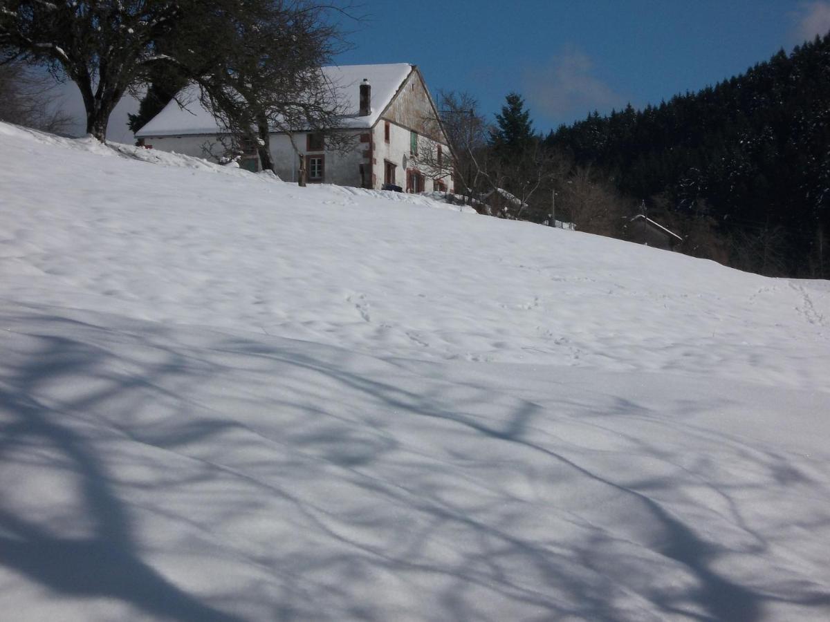 Charming Holiday Home Near The Ski Slopes Vagney Dış mekan fotoğraf