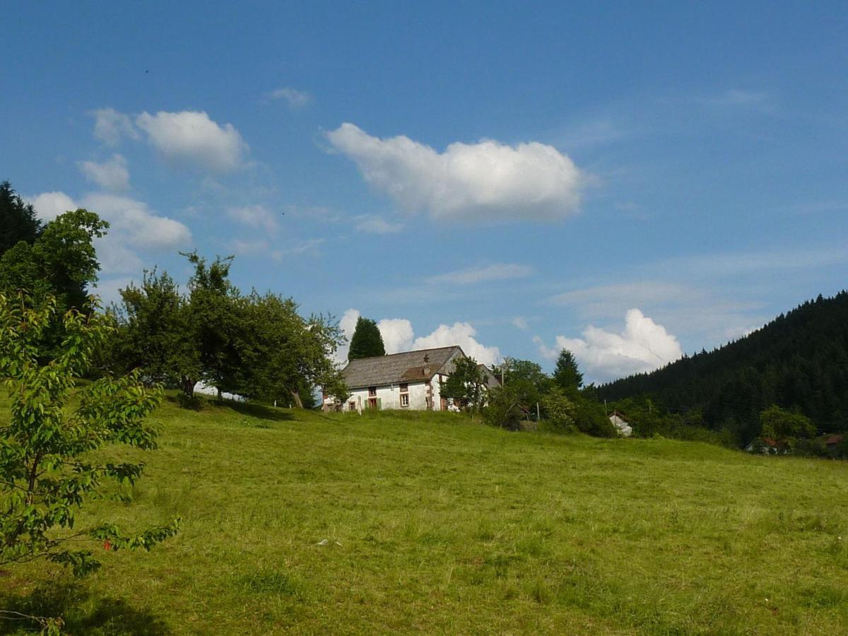 Charming Holiday Home Near The Ski Slopes Vagney Dış mekan fotoğraf