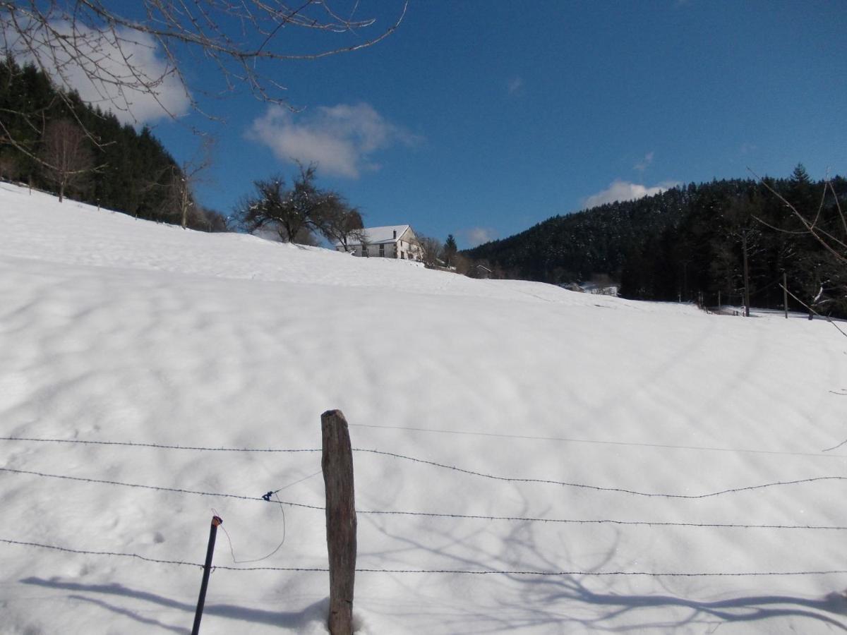 Charming Holiday Home Near The Ski Slopes Vagney Dış mekan fotoğraf