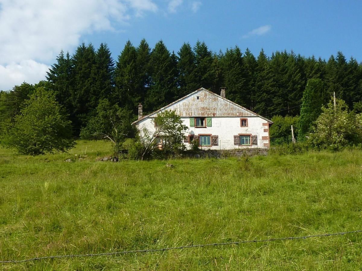 Charming Holiday Home Near The Ski Slopes Vagney Dış mekan fotoğraf