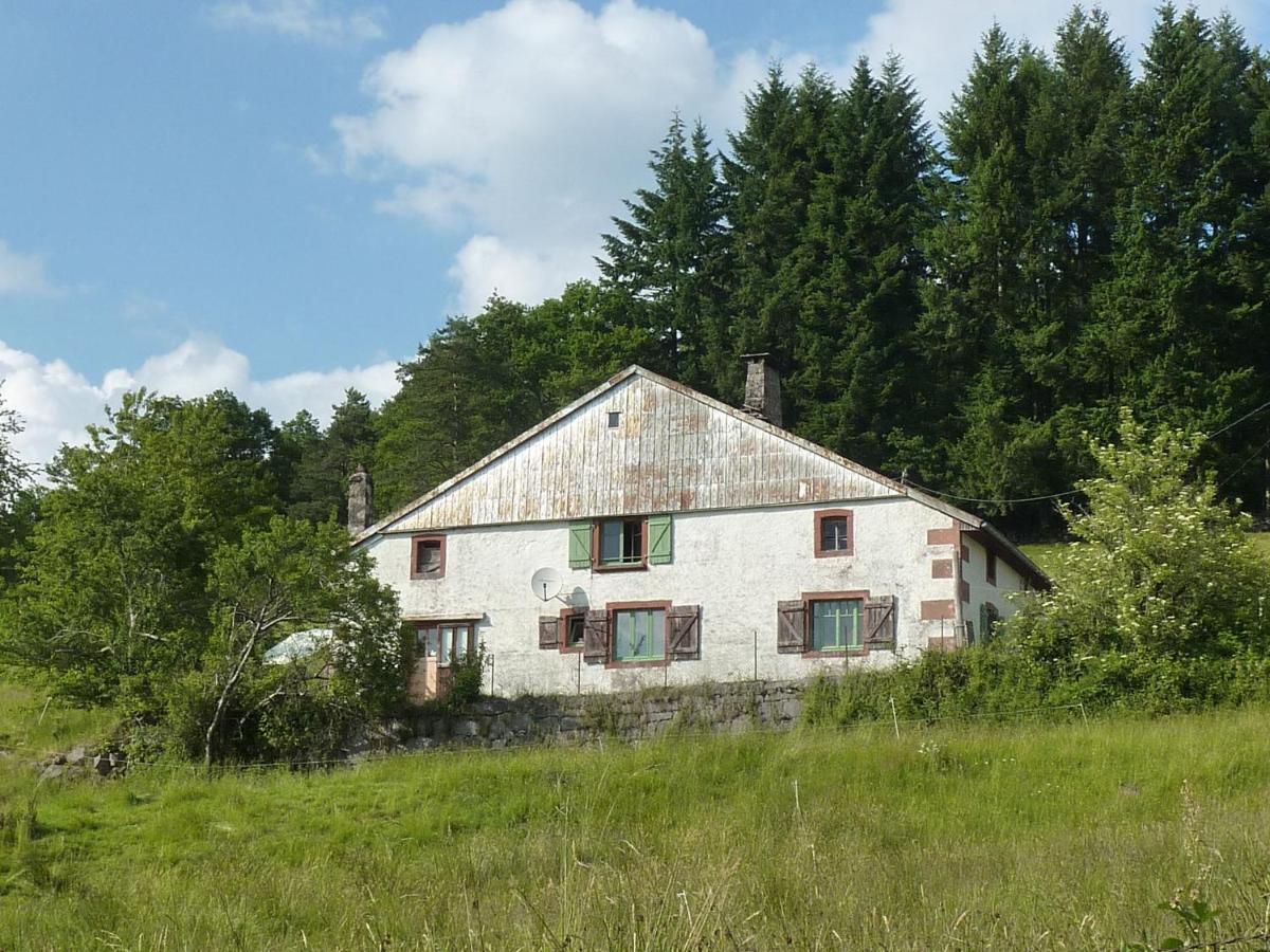 Charming Holiday Home Near The Ski Slopes Vagney Dış mekan fotoğraf